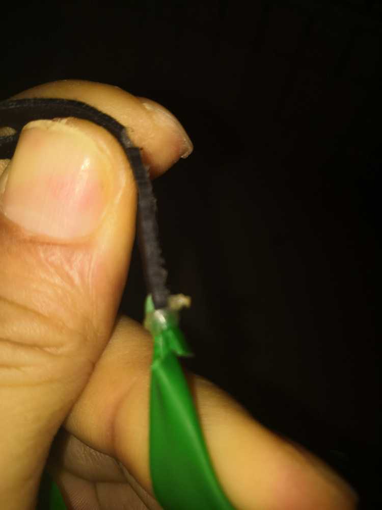 JPEG_20180417_055120_.jpg