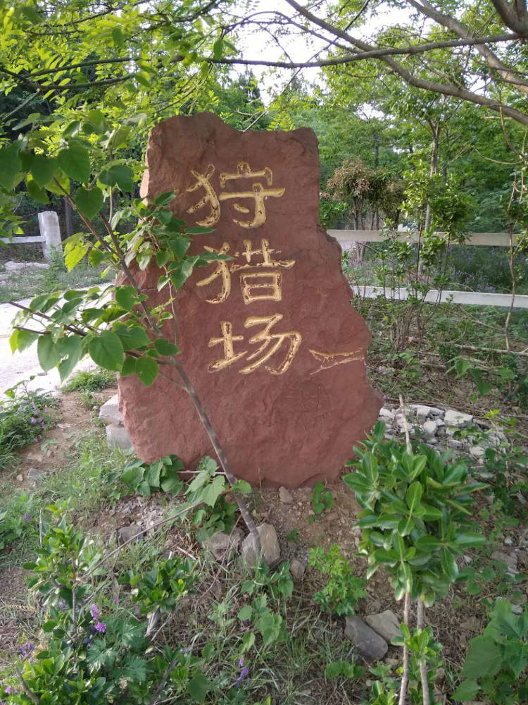 这里的猎图能发不