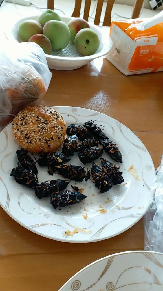 味同嚼蜡其实还不如蜡好吃呢.jpg