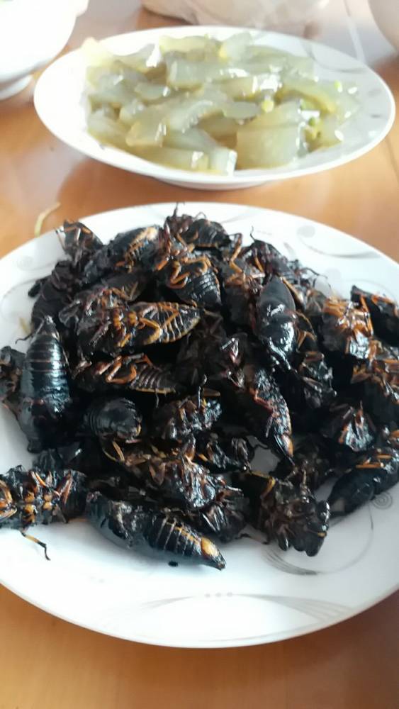 媳妇看到直接吐了，她拒绝吃晚饭了.jpg