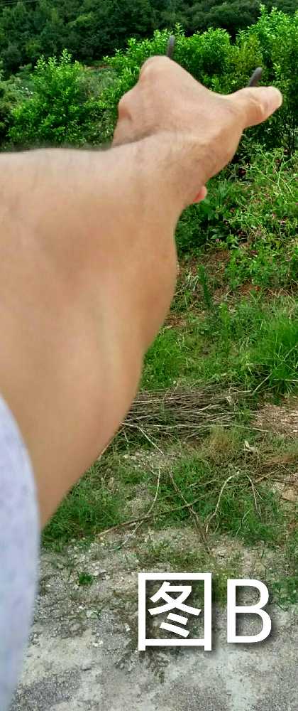 %2Fstorage%2Fsdcard1%2FDCIM%2FCamera%2FIMG_20180907_195032.jpg