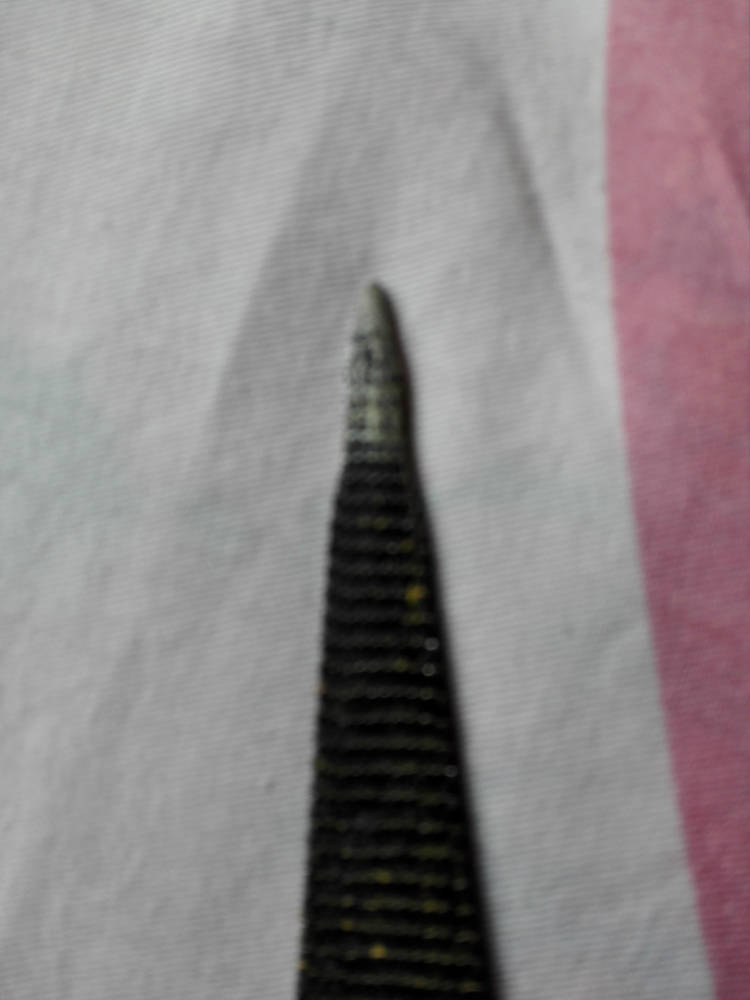 081401jiz2jzfitpicuf5a.jpg