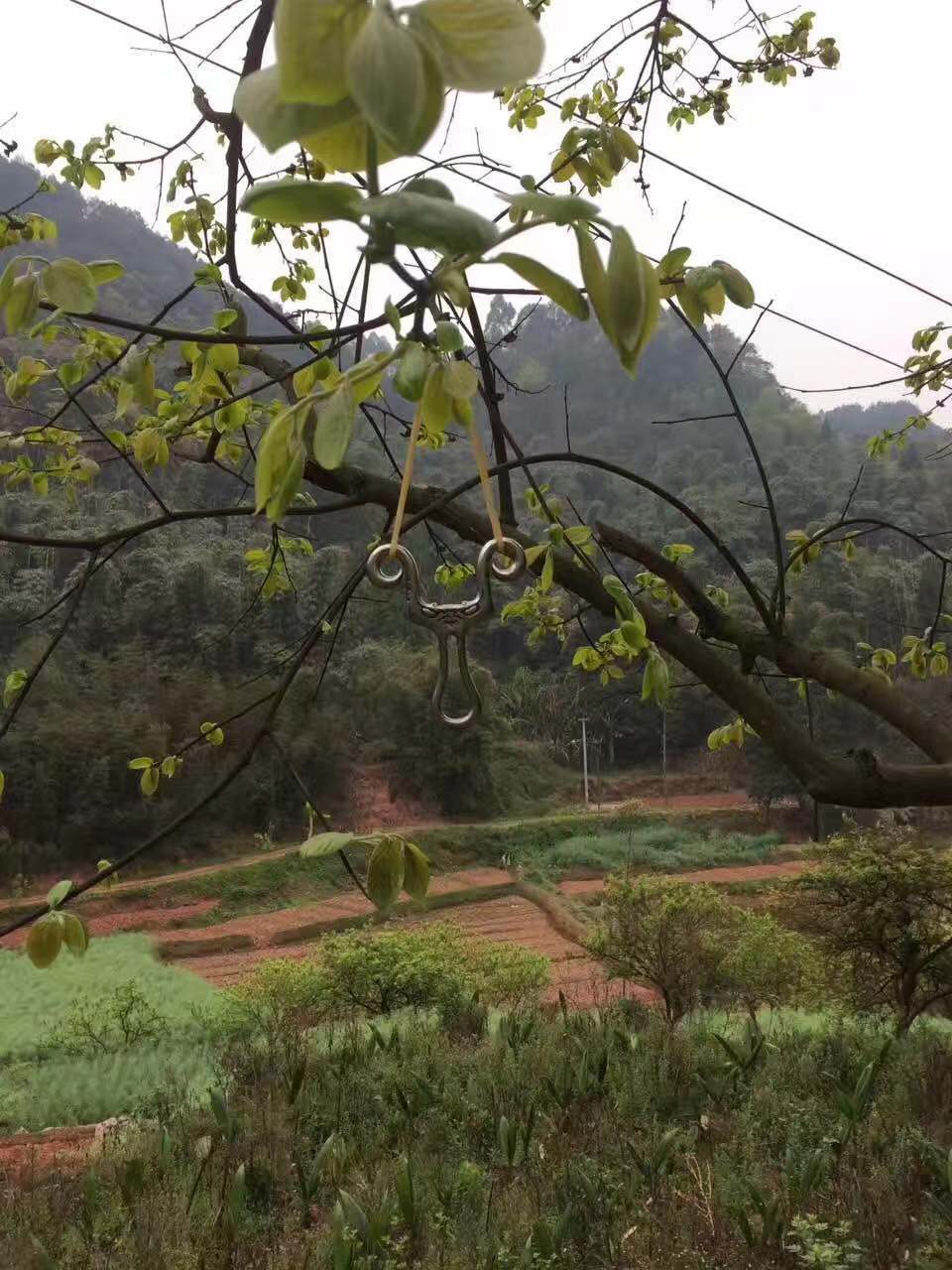 微信图片_20181201144116.jpg