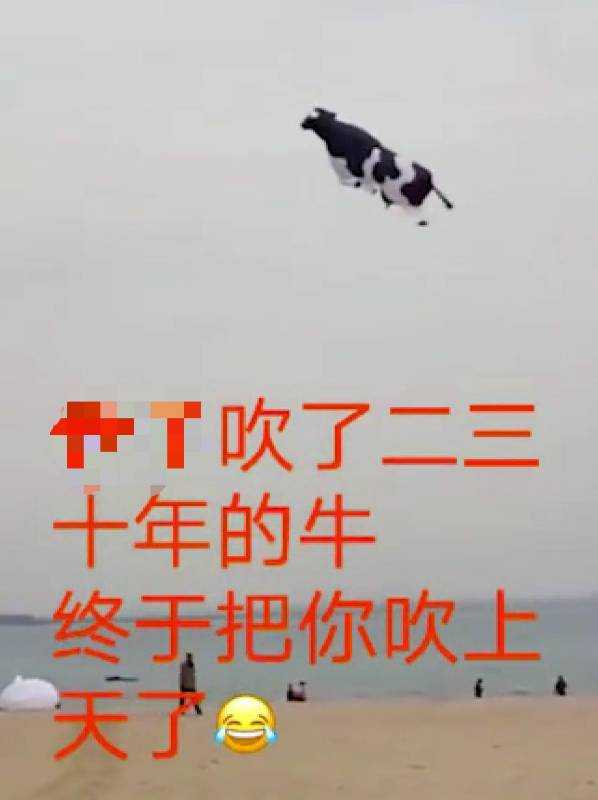 IMG_MOSAIC_1548144830671.jpg