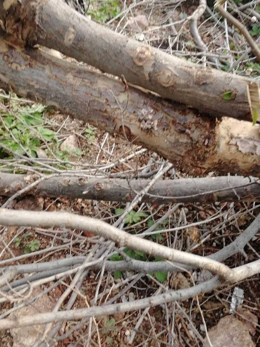 IMG_20190430_160413.jpg