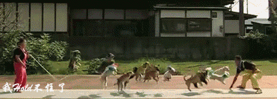 psb (37).gif