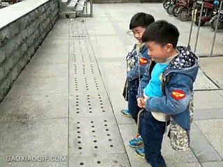 dxxsh123452.gif