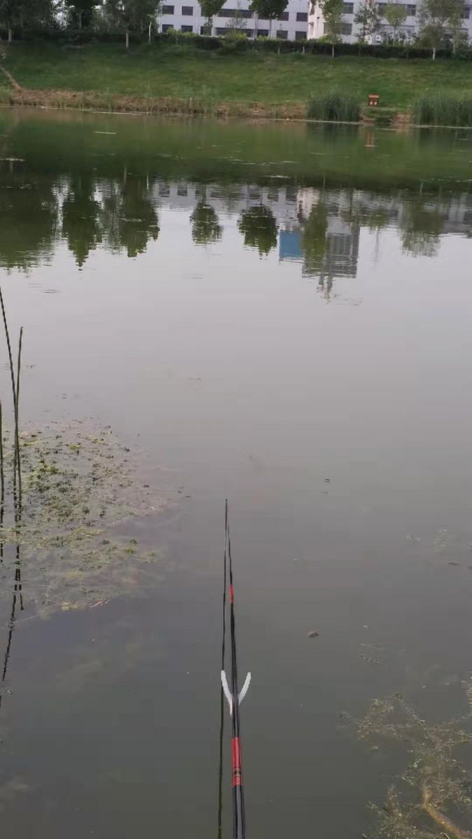 微信图片_20190717155101.jpg
