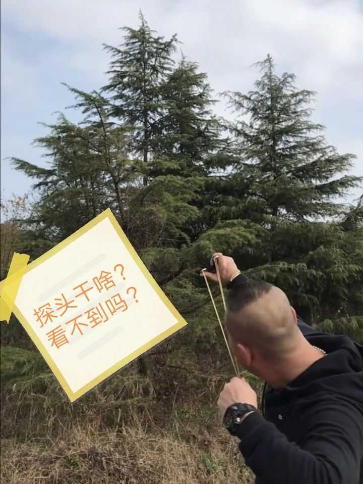 Screenshot_20191217_231030.jpg