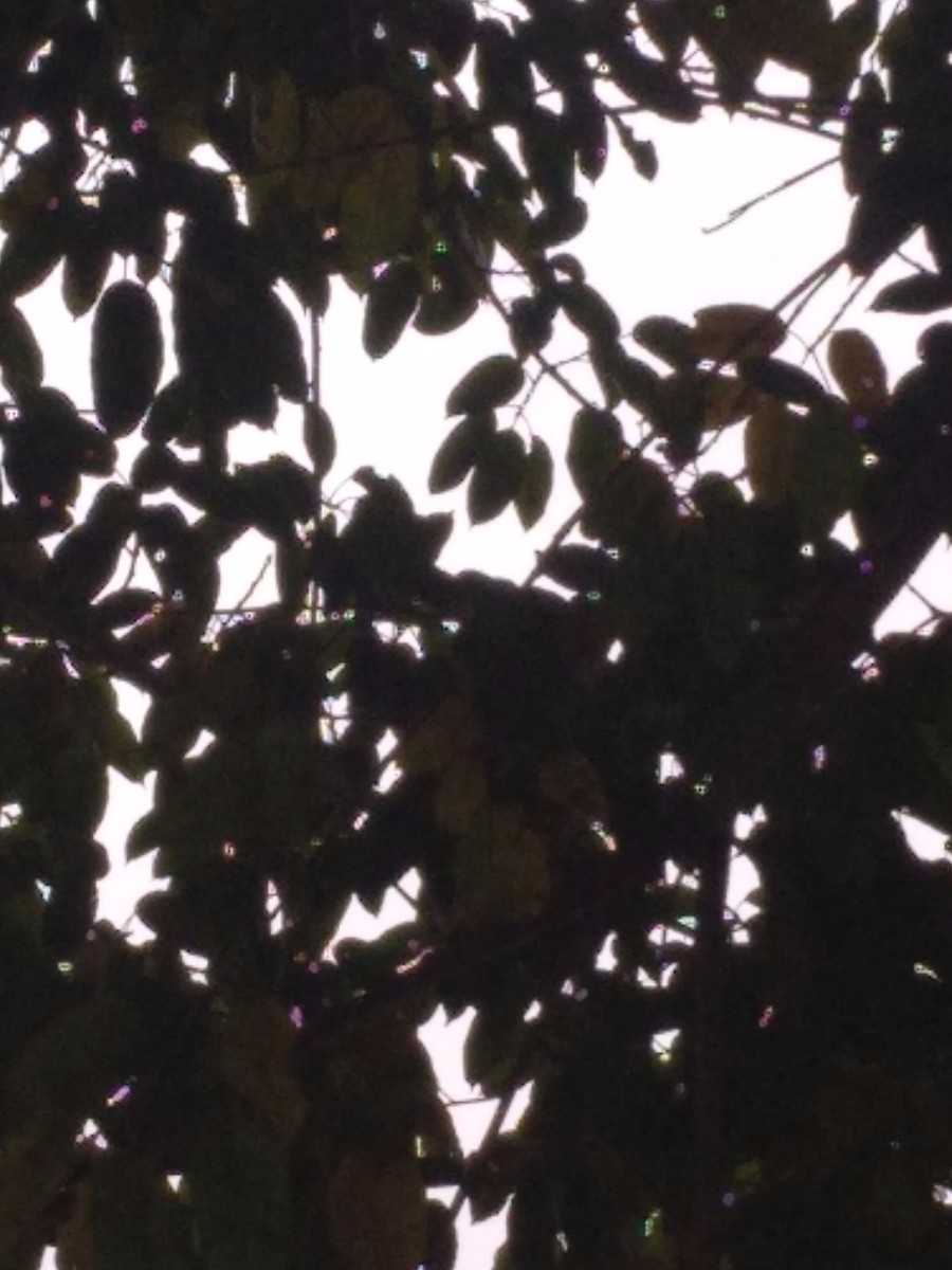 IMG_20200119_112141.jpg