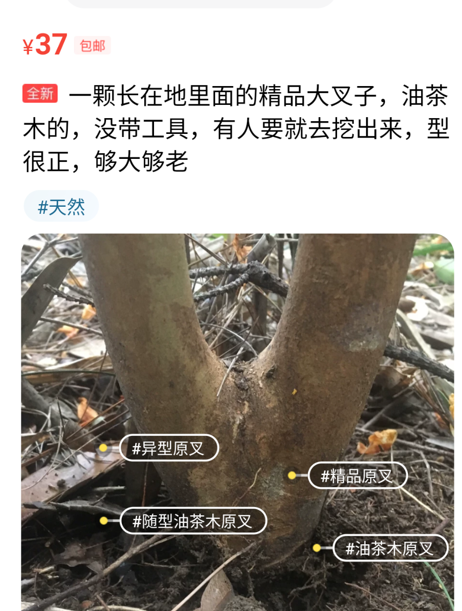 Screenshot_20201215_222435_com.taobao.idlefish.png