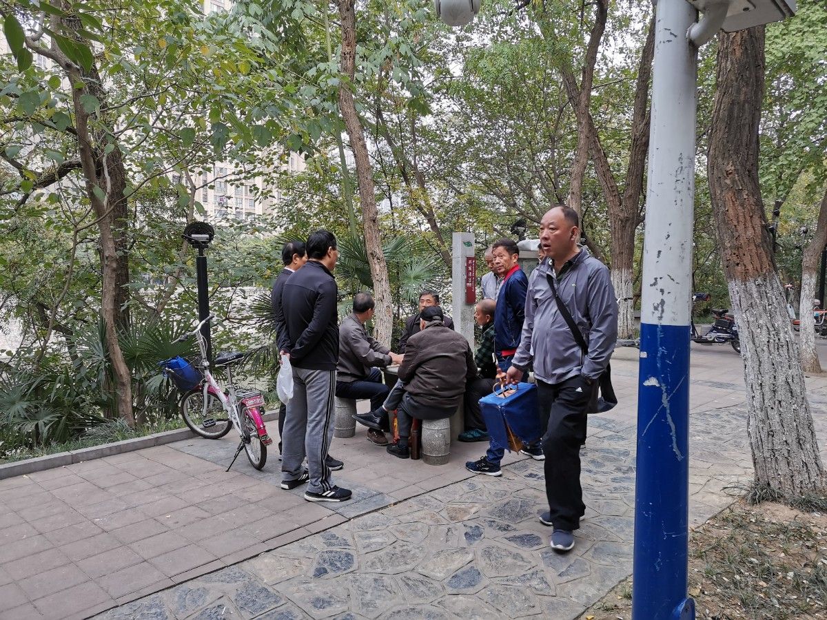 IMG_20191026_143558.jpg