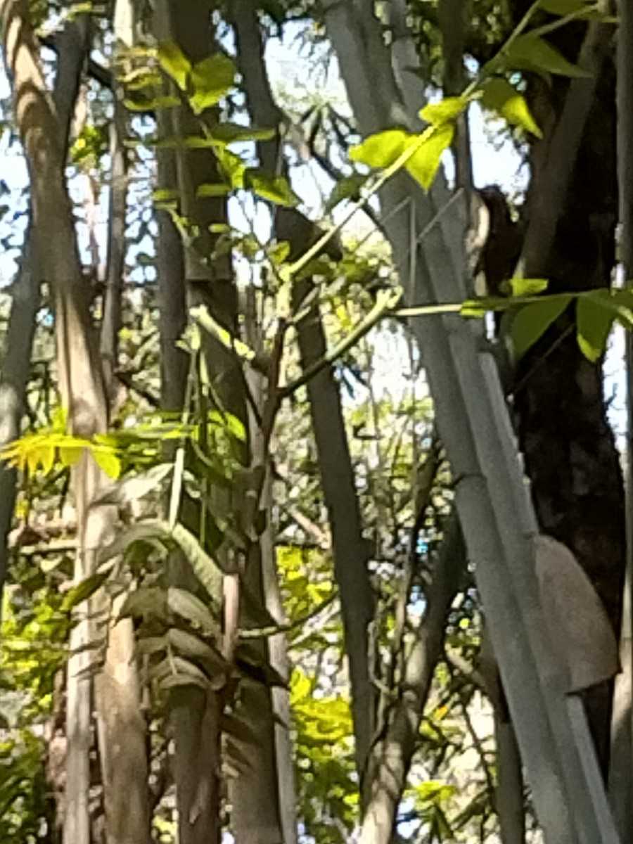 IMG20210218134443.jpg