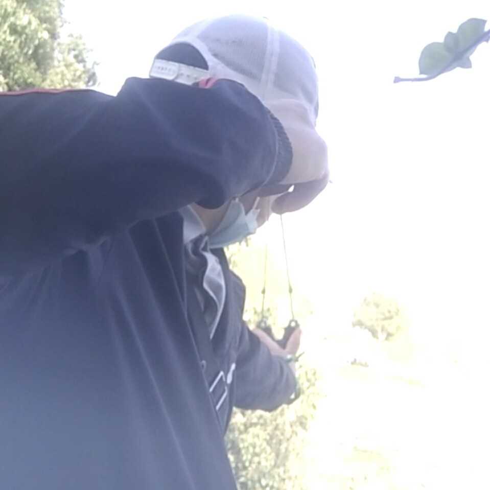 1615294743389.jpg