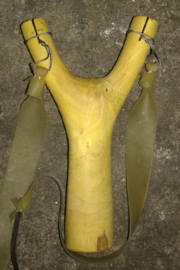 湿地青衣2019-3-21 22=54-3.jpg
