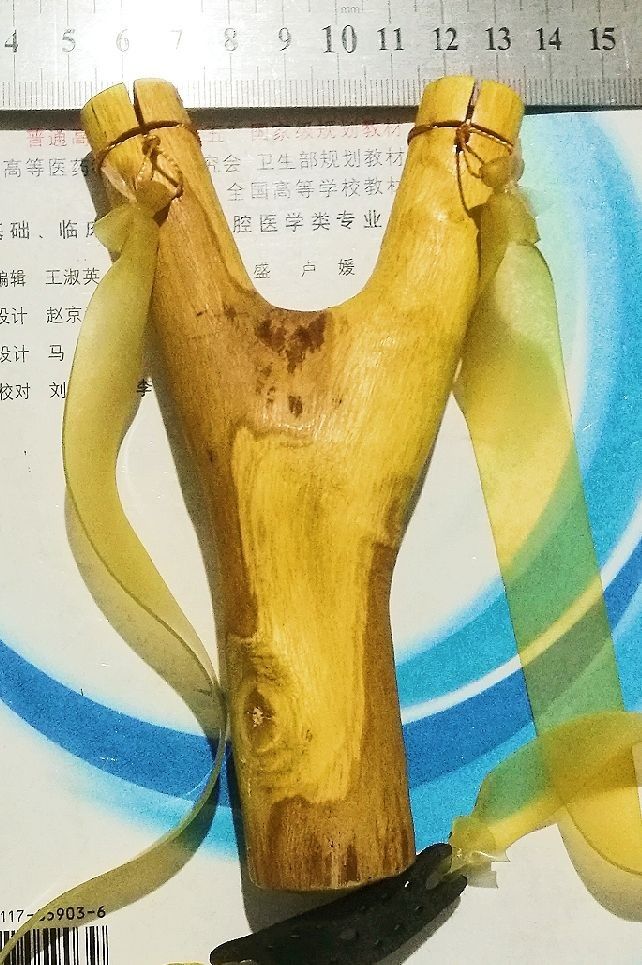 湿地青衣2019-3-28 01=46.jpg