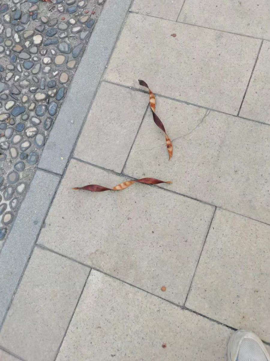 微信图片_4.jpg