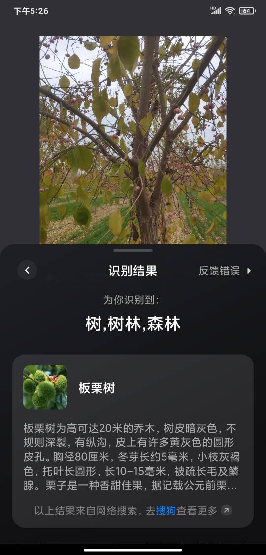172859hdup3d91rad9hvvf.jpg