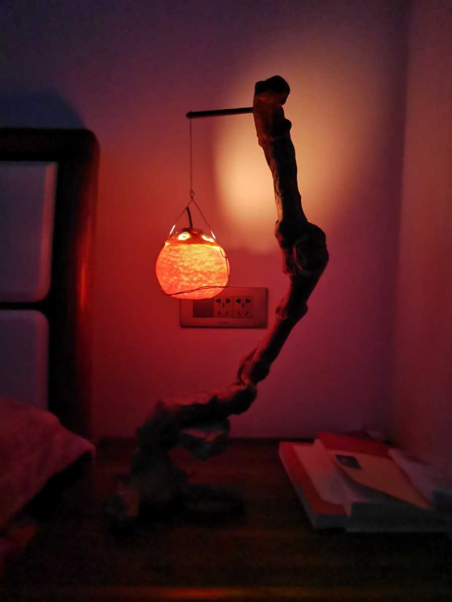 IMG_20220122_131240.jpg