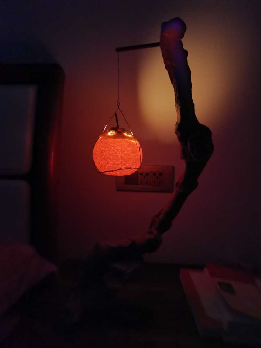 IMG_20220122_131302.jpg