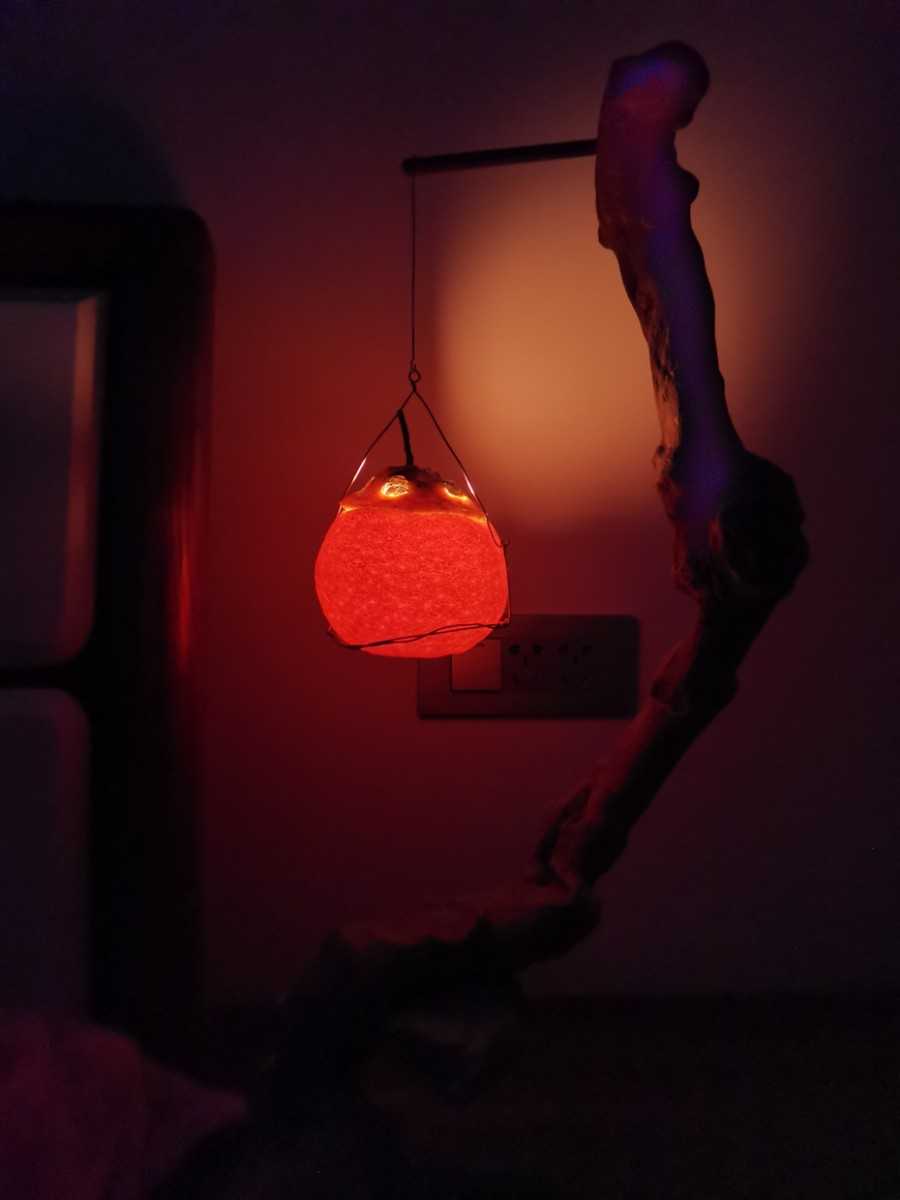 IMG_20220122_131357.jpg