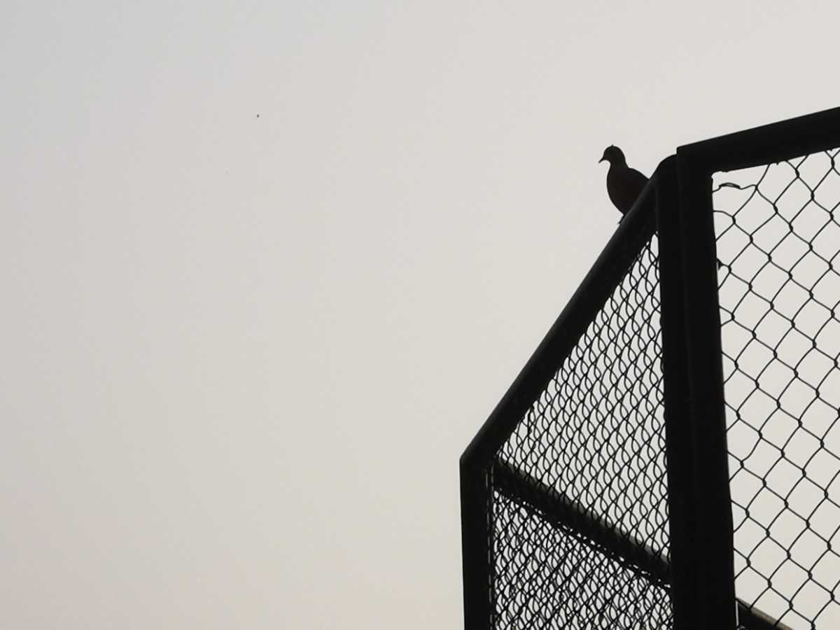 IMG_20220315_171828.jpg