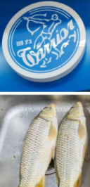 45747dfe33b919fed70ddbe332128cb.png