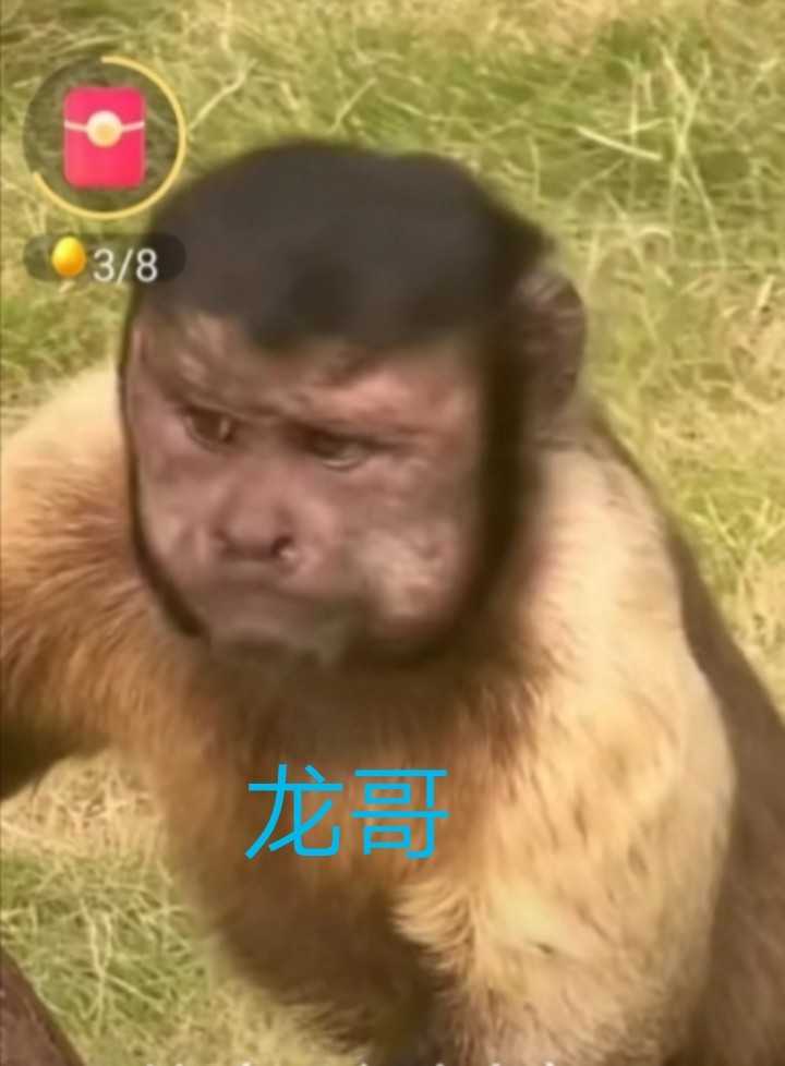 Screenshot_20221006_133514.jpg