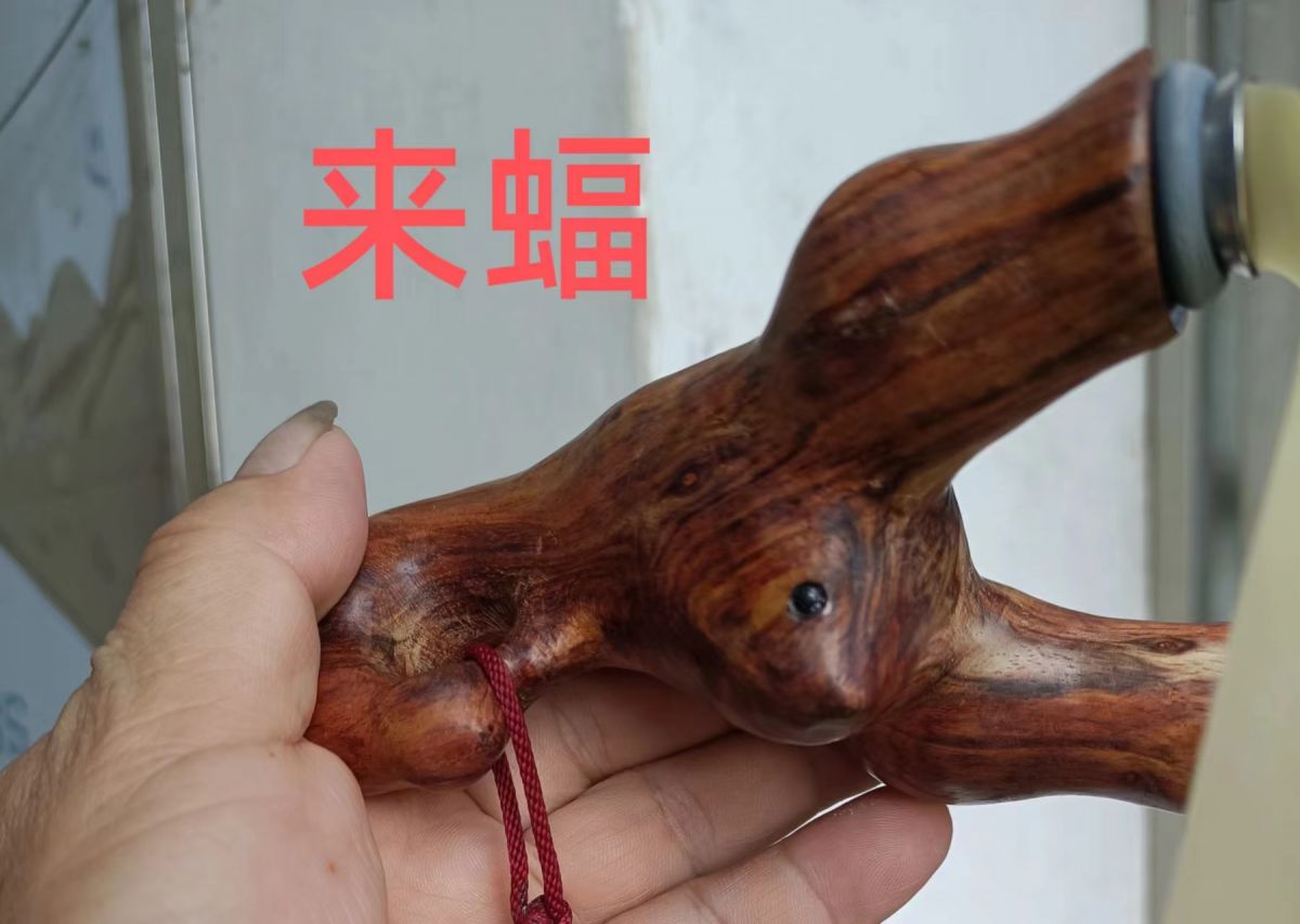 微信图片_20240524180917.jpg
