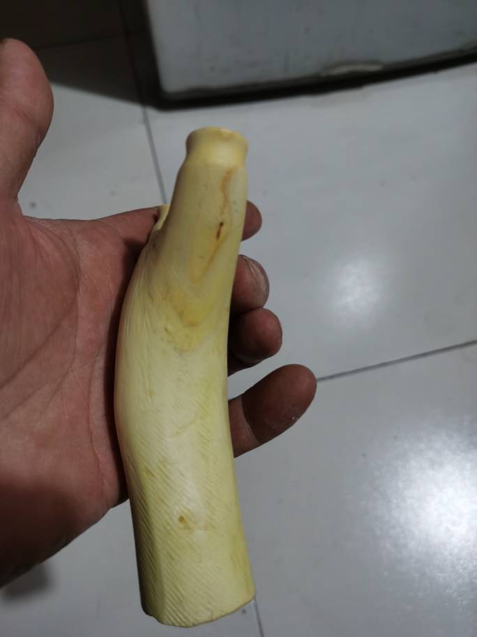 003528j4mzkkg4kgfg7g0r.jpg