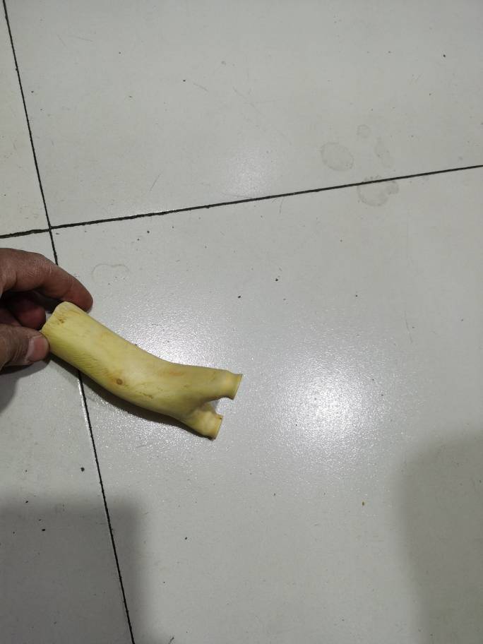 003528oi8xtqqbbyztbqzb.jpg