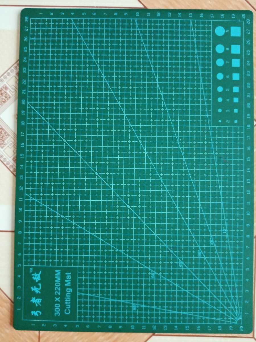1723795089376.jpg